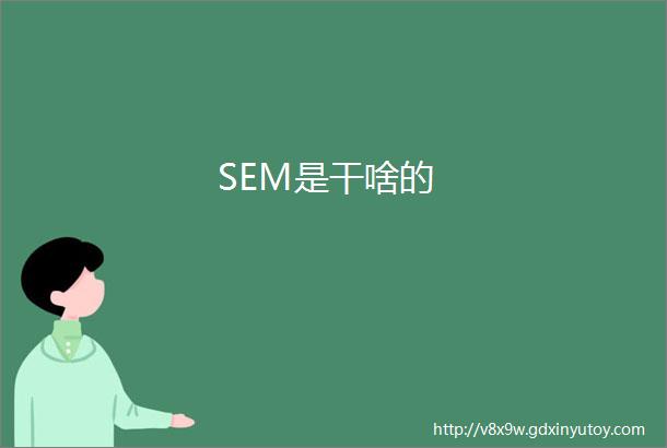 SEM是干啥的