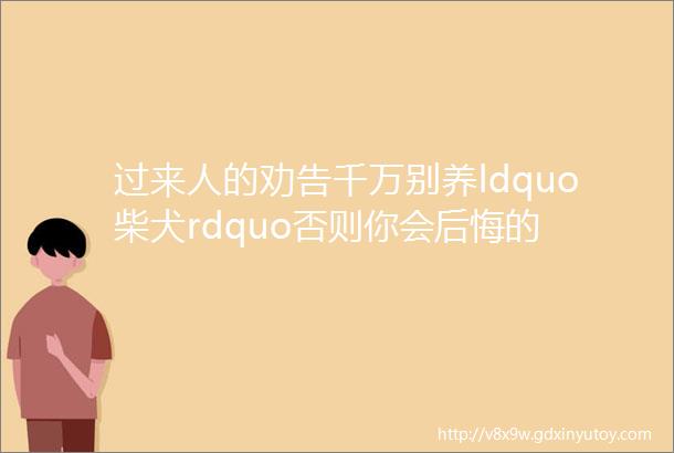 过来人的劝告千万别养ldquo柴犬rdquo否则你会后悔的